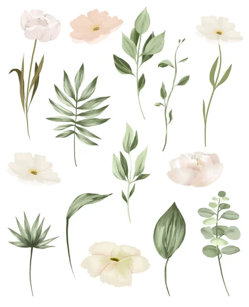 Set of white flowers and greenery, wedding floral clipart, isolated illustration on white background