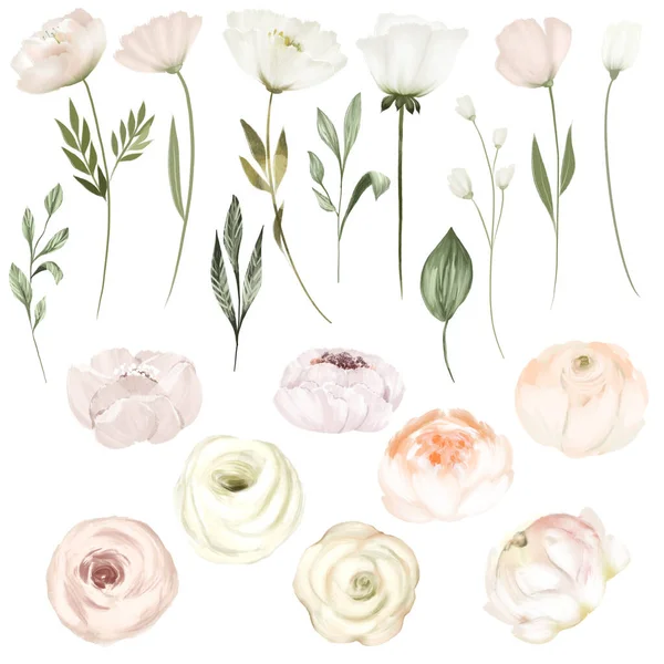 Zestaw Białych Kwiatów Zielonych Liści Kliparty Ślubny Odizolowana Ilustracja Białym — Zdjęcie stockowe