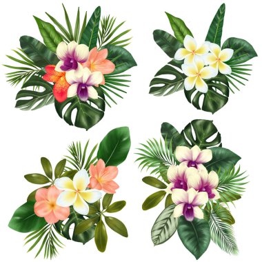 Yeşil tropikal yaprak buketleri ve parlak egzotik çiçekler (orkideler, plumeria ve clivia), tropikal çiçekli klipler, beyaz arkaplanda izole çizimler