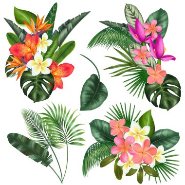 Yeşil tropikal yaprak buketleri ve parlak egzotik çiçekler (plumeria, canna, muz çiçeği ve strelitzia), tropikal çiçekli tırmanış, beyaz arkaplanda izole edilmiş illüstrasyon
