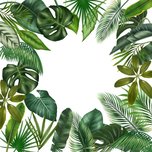 Card Template Floral Border Green Tropical Leaves Illustration White Background — Stock fotografie