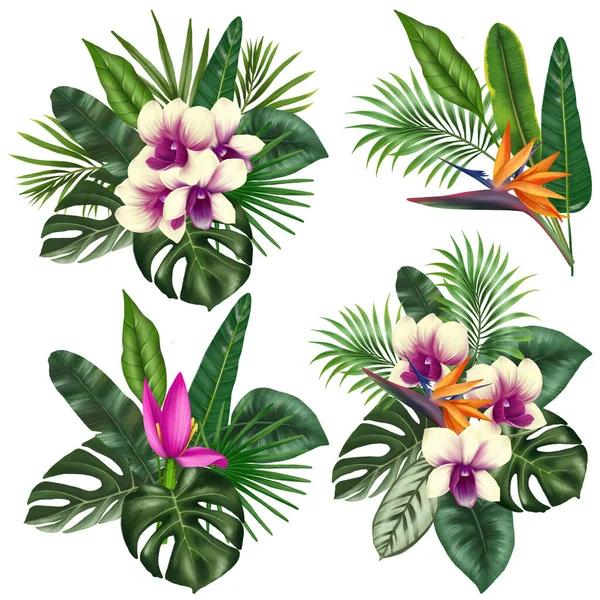 Sträuße Aus Grünen Tropischen Blättern Und Leuchtenden Exotischen Blüten Orchideen — Stockfoto