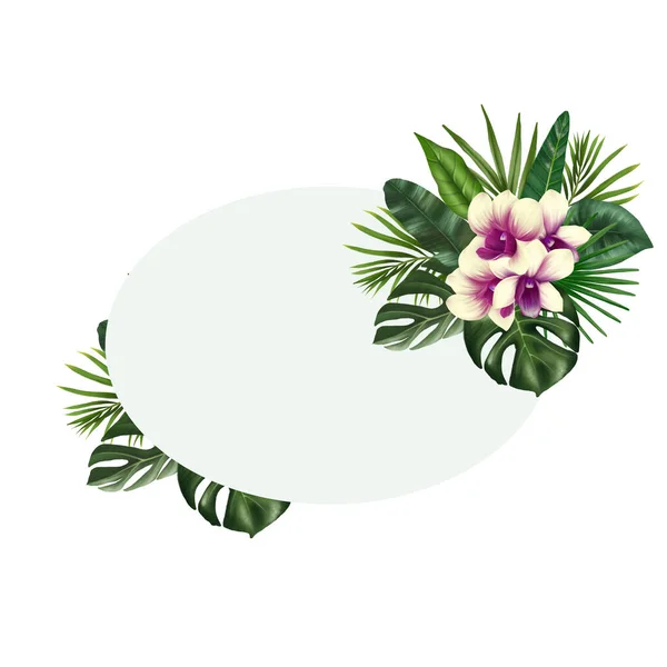 Oval Frame Green Tropical Leaves Orchid Flowers Isolated Illustration White - Stock-foto