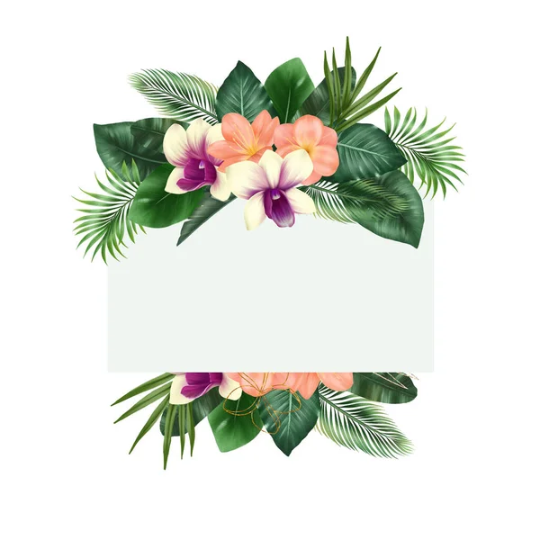 Rahmen Aus Grünen Tropischen Blättern Clivia Und Orchideenblüten Isolierte Illustration — Stockfoto