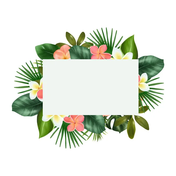 Frame Green Tropical Leaves Plumeria Flowers Isolated Illustration White Background — Stock Photo, Image