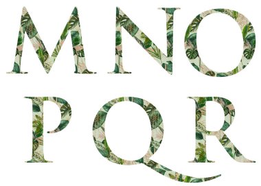 Çiçekli M-R harfleri, tropikal tasarım baskısı, beyaz arka planda izole bir illüstrasyon, düğün monogramı, selamlama ve kartvizitler, logo.