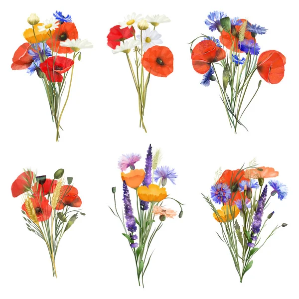 Collection Bouquets Bright Summer Meadow Flowers Plants Red Poppies Cornflowers — 图库照片