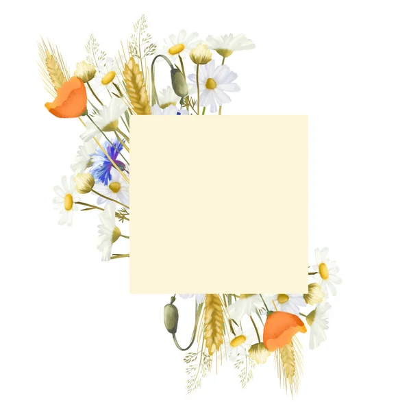 Kwadratowa Ramka Akwarelowymi Kwiatami Kukurydzy Kolcami Pszenicy Rumiankami Ilustracje Białym — Zdjęcie stockowe