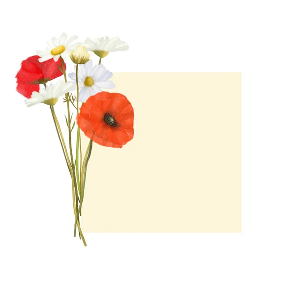 Square Frame Watercolor Poppies Chamomiles Illustrations White Background Invitation Card — Stock Photo, Image