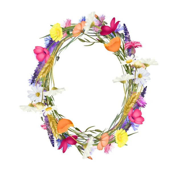 Wreath Watercolor Bright Meadow Flowers Chamomiles Poppies Cornflowers Etc Illustrations — 스톡 사진