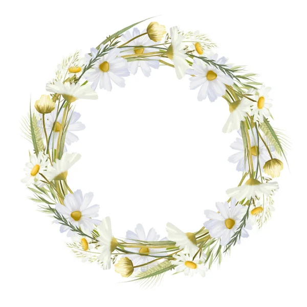 Wreath Watercolor Chamomiles Illustrations White Background - Stock-foto