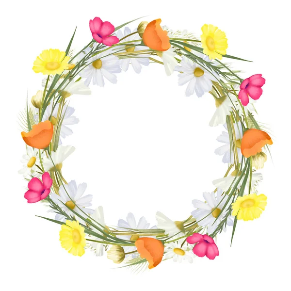 Wreath Watercolor Chamomiles Bright Meadow Flowers Illustrations White Background — Zdjęcie stockowe