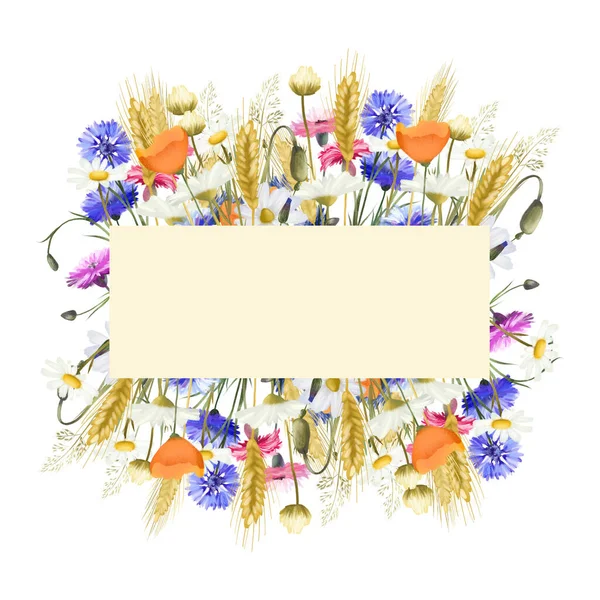 Ramka Akwarela Kolorowe Jasne Dzikie Kwiaty Chabry Rumianki Maki Kolce — Zdjęcie stockowe