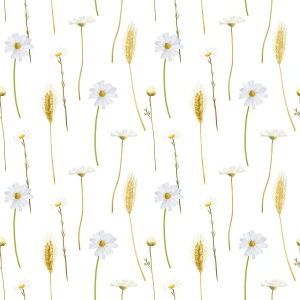 Seamless Pattern Chamomiles Wheat Spikelets Illustration White Background — Foto de Stock