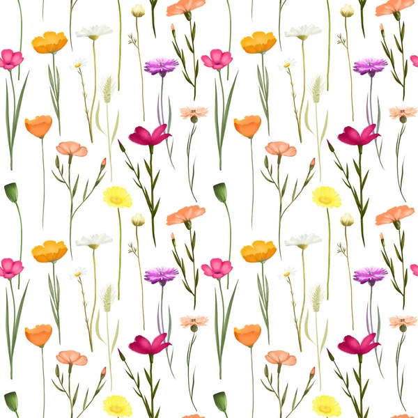 Seamless Pattern Cornflowers Chamomiles Other Bright Meadow Flowers Illustration White — Stock Fotó