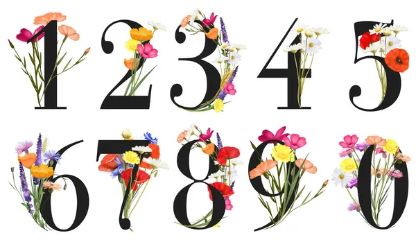 Set Floral Numbers Colorful Summer Wildflowers Poppies Chamomiles Cornflowers Isolated — 图库照片
