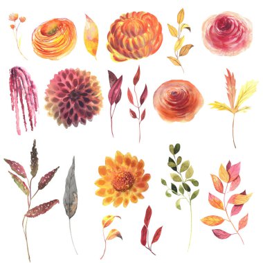 Watercolor autumn flowers, leaves and branches set, fall floral clipart, isolated floral elements on white background