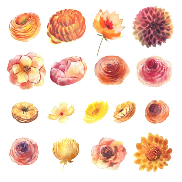 Watercolor Red Orange Yellow Autumn Flowers Set Fall Flower Clipart — 스톡 사진