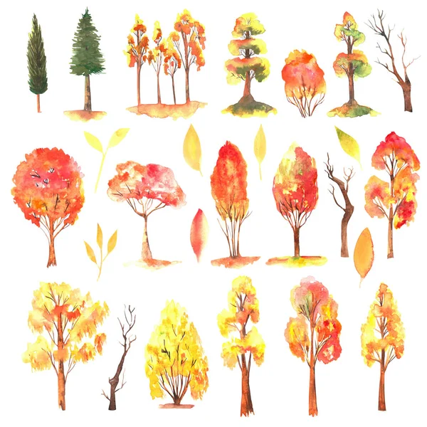 Set of watercolor autumn trees, fall forest clipart, isolated illustration on white background
