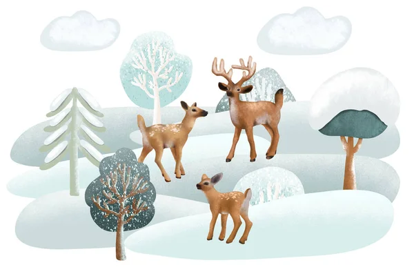 Illustration of deers in winter forest landscape, forest cute characters illustration on white background