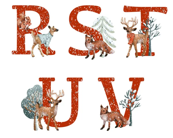 Набор Красных Букв Зимними Лесными Животными Алфавит Рождественских Животных Изолированная — стоковое фото