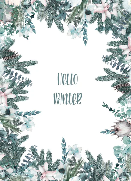 卡片模板 水彩艳丽的冬花花边 松树和桉树分枝 圣诞卡设计 — 图库照片