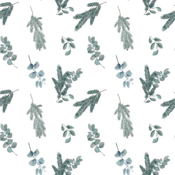 Bezešvé Vzor Akvarel Zimní Eukalyptus Smrkové Větve Ilustrace Bílém Pozadí — Stock fotografie