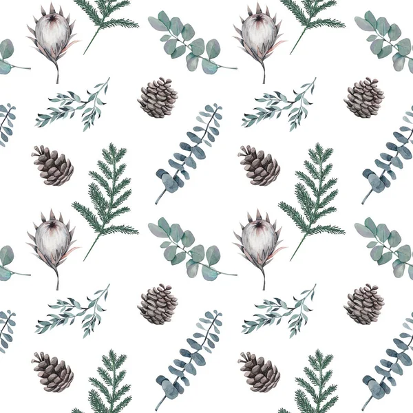 Sömlöst Mönster Akvarell Vinter Eukalyptus Gran Grenar Kronärtskocka Blommor Och — Stockfoto