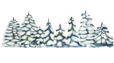 Suluboya karlı köknar ağaçları illüstrasyon, beyaz arka plana izole edilmiş kış ormanı el çizimi