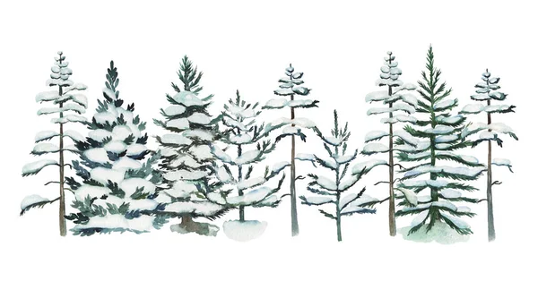 Karlı Çam Ağaçları Illüstrasyonlar Suluboya Beyaz Zemin Üzerine Izole Kış — Stok fotoğraf