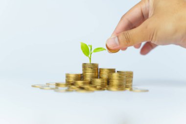 Bir el, beyaz arka planda izole edilmiş madeni para ve bitki bırakır.