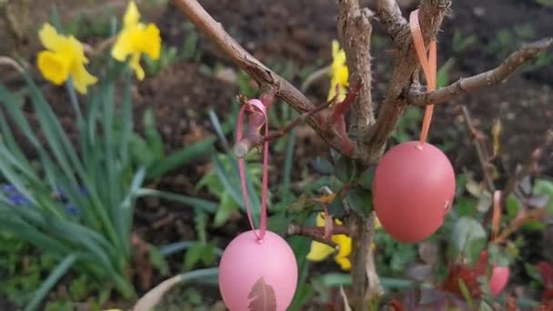 Oeufs Pâques Whist Sur Les Branches — Video