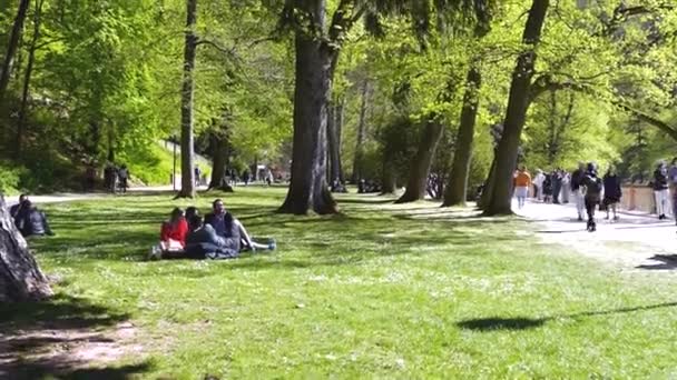 People Sit Lawn Park — 비디오