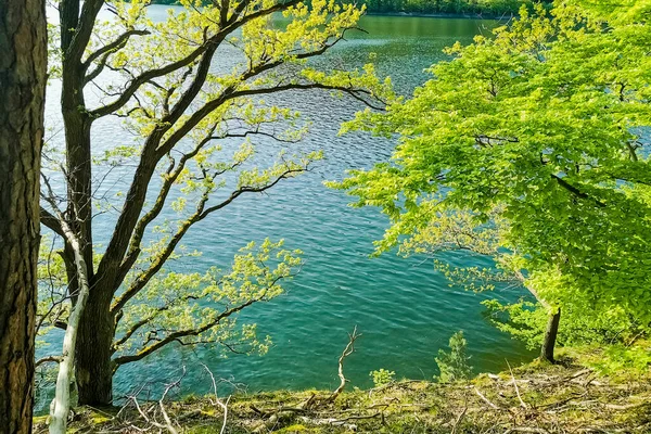 々の間から湖の美しい景色 — ストック写真