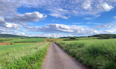 Güzel manzara. Yeşil çimenler. Yağmur bulutları.