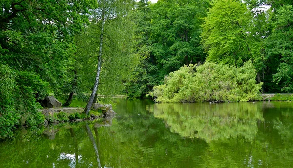 Hermoso Paisaje Parque Árboles Verdes Pequeño Lago —  Fotos de Stock