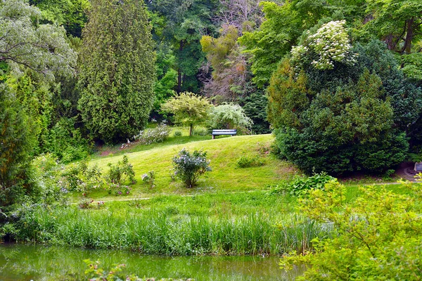 Bela Paisagem Parque Árvores Verdes Pequeno Lago — Fotografia de Stock