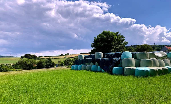 Hay rolls stacked in a field.