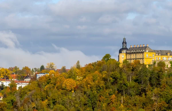 Panorama Automnal Avec Arbres Feuilles Vertes — Photo