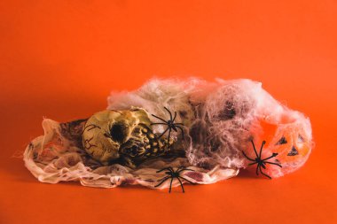 İskelet kabaklar ve örümceklerle dolu Cadılar Bayramı. Seçici odaklanma. Boşluğu kopyala.