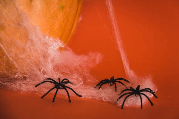 ハロウィーンのカボチャにクモの巣を持つクモ 選択的フォーカス スペースのコピー — ストック写真