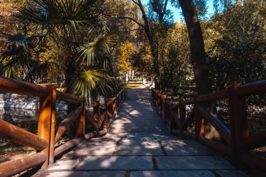 Parktaki tahta ve taş köprü. Seçici odak.