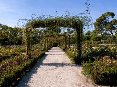 Parktaki asma ve çiçeklerin yolu.