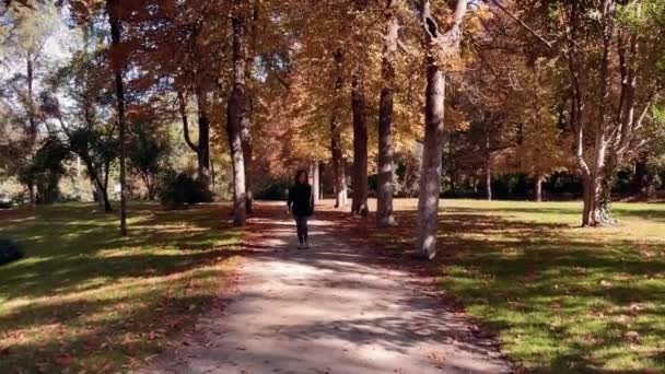 Jonge Vrouw Die Herfst Een Park Loopt Glimlachen Gouden Kleuren — Stockvideo