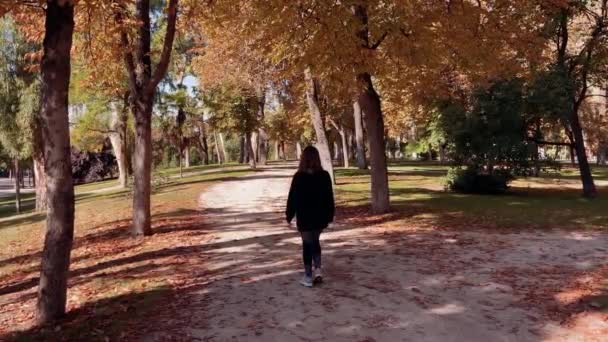 Осенью Молодая Женщина Гуляет Парке Золотые Цвета Осенние Вибрации — стоковое видео