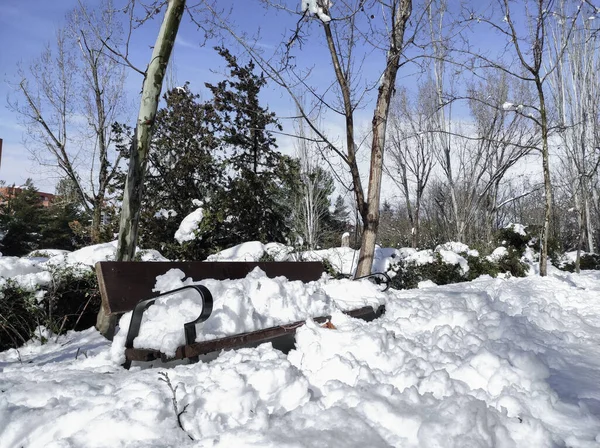 Banco Com Neve Paisagem Urbana Inverno Flocos Neve Galhos Árvores — Fotografia de Stock