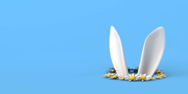 Etrafı papatya çiçekleriyle çevrili bir delikten çıkan Paskalya tavşanı kulakları. Uzayı kopyala 3B illüstrasyon.