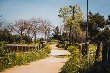 Toprak yolu olan şehir parkı ve arka planda binaları olan ahşap çitler. Uzayı kopyala Seçici odak.