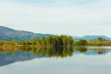 Ağaçlar nehre yansıdı. Doğal ayna. Seçici odaklanma. Boşluğu kopyala.