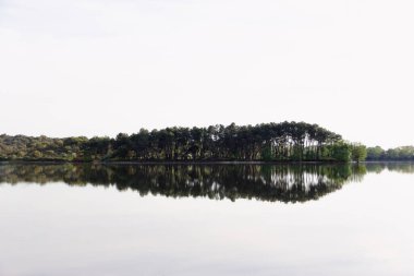 Ağaçlar nehre yansıdı. Doğal ayna. Seçici odaklanma. Boşluğu kopyala.
